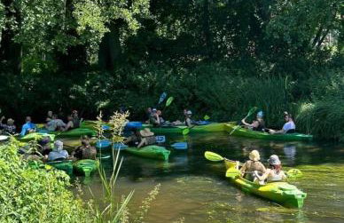 Siedlisko Rawka - Foto 18