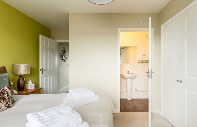 About Tern - Foto 10