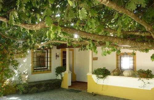 Quinta do Troviscal - Foto 73