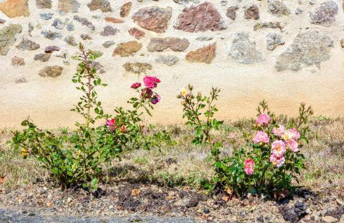 Holiday Home in Auvergne With Roofed Garden and Terrace - Foto 105