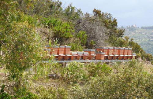 Agriturismo Le Agavi - Foto 24