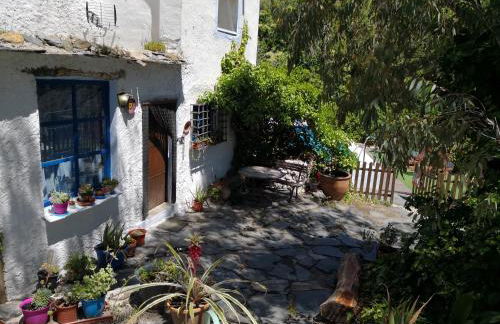 Cortijo Buena Vista - Photo 16