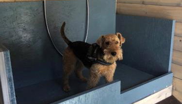 Mina - Foto 2, Garden