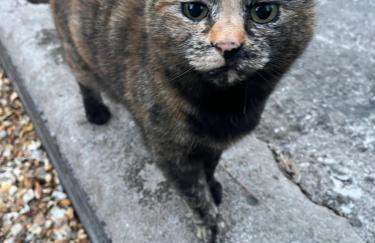 By the River - Foto 42