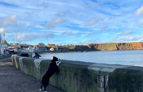 Generals Yard - Foto 24