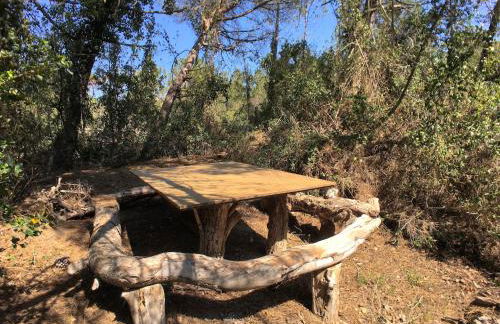 Huge Holiday Home in Marina di Castagneto Carducci near Sea - Foto 3