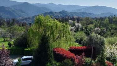 Casa Marì - Photo 5