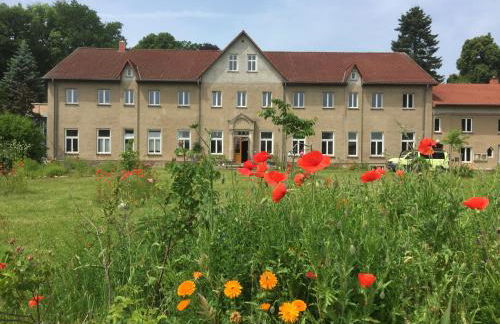 Storchenblick - Foto 5