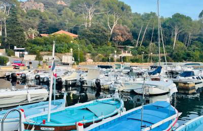 Les Oliviers de l'Esterel - Foto 23