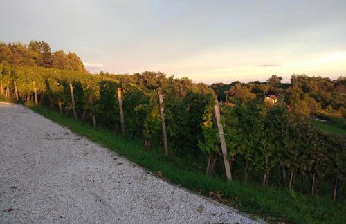 Plesivica Hillside Holiday Home With Hot -tub - Foto 35