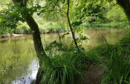 Maisonnette avec cour - Foto 17