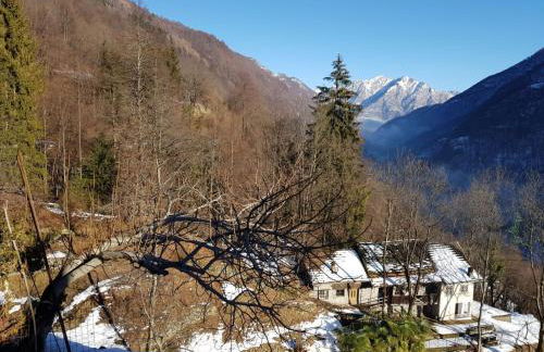 Coccinella House - Foto 16