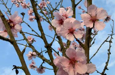 Hen-Coop Inn Appartement mit zwei Schlafzimmern & Netflix - Photo 18