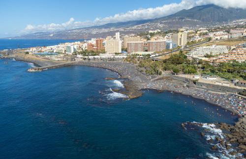 La Tortuga Azul B - Foto 25