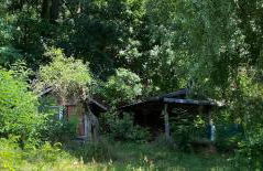 Gemütliches Haus im grünen in NFO - Foto 38