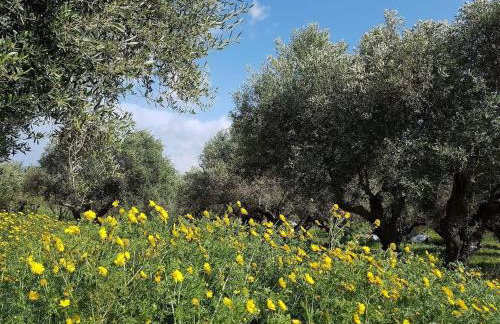 Petrochori Memories House- Floor 1 - Foto 41
