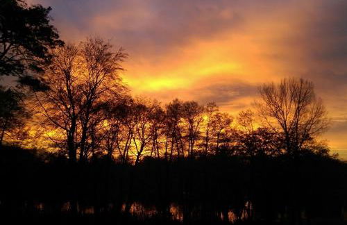 Holiday Home in Süd-Waldhanglage mit Seeblick by Interhome - Foto 11