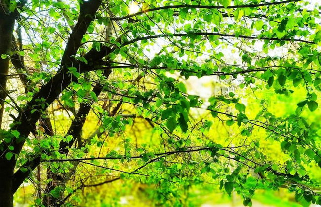 Home in Taras Shevchenko - Foto 18