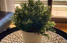 El Refugio de Insuela - Foto 17