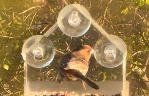 FuLLy LoAdeD ReSerVaTioN 3bed 2ba w Parking - Photo 38