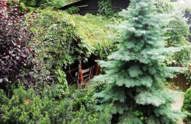 BAJA Gospodarstwo Agroturystyczne - Foto 12