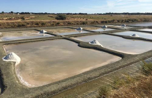 Maison Bord de mer à Noirmoutier - Photo 28