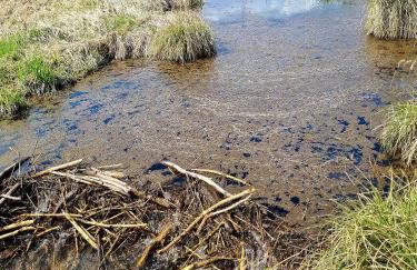 Cuda Wianki - Foto 19