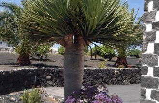 Casa Rural Finca Isabel - Foto 10