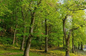 Cascina Veja - Foto 114