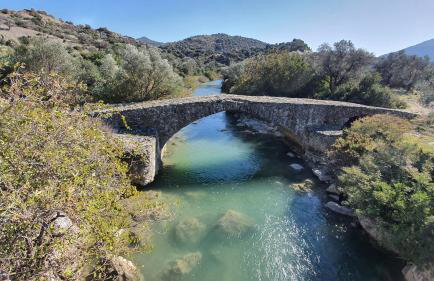 Serene, slow living house - Foto 30