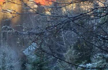 Chatka Milkowska - Foto 34