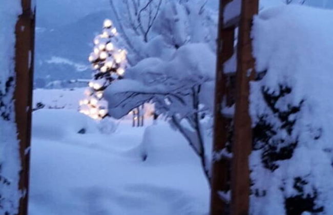 Kehlstein - Reich Family - Foto 3