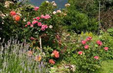 Charmantes Garten-Apartment: Erholung im Chiemgau - Foto 13