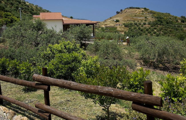 La Collina degli Ulivi - Casa Ulivi 1 - Foto 13