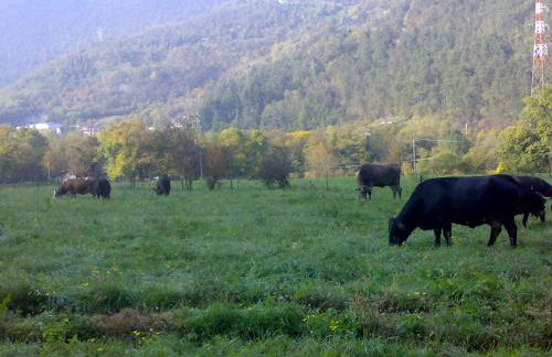 Agriturismo BioBiò - Photo 31