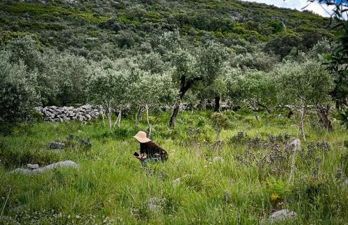 Casa da Curva - Foto 50