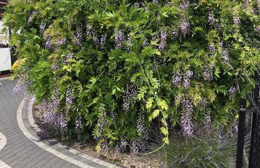 OSTOJA SŁAWIANOWO nad jeziorem - Foto 36