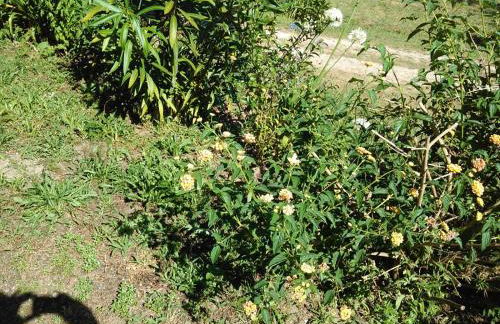 Casa Do Fiscal - Foto 22