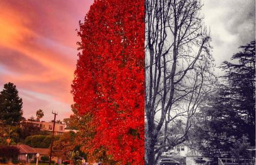 The Luxe Escape | Near LAX & West LA Hotspots - Foto 69