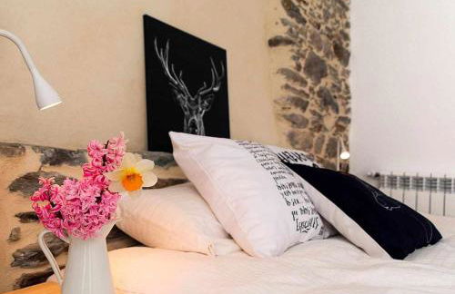 Val Aran: apartamento con chimenea,jardín y vistas - Photo 7