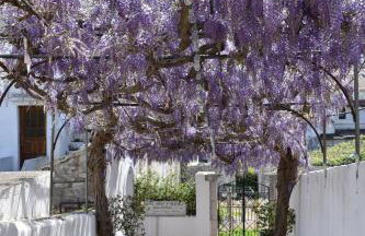 Villa Giovanna - Photo 31