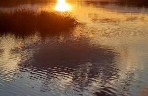 Little Oyster Oasis - Photo 5