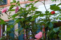 Appartamenti Arena - Foto 11