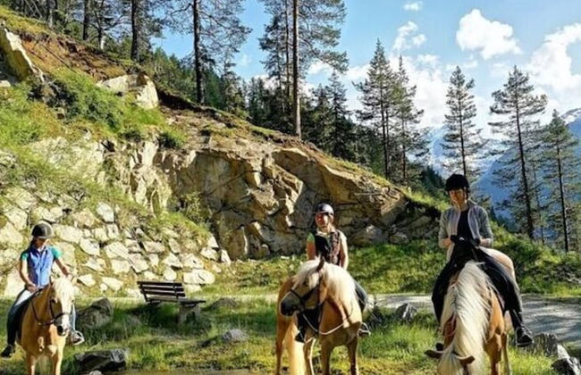 the Veitenhof Comfortable Holiday Residence - Photo 36