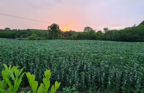 SunsetView - Foto 20