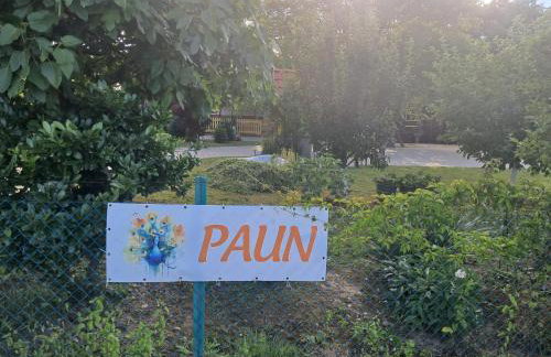 Paun - Photo 1