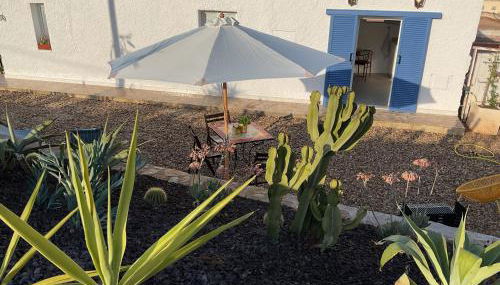 Casa Tartaruga - Foto 2