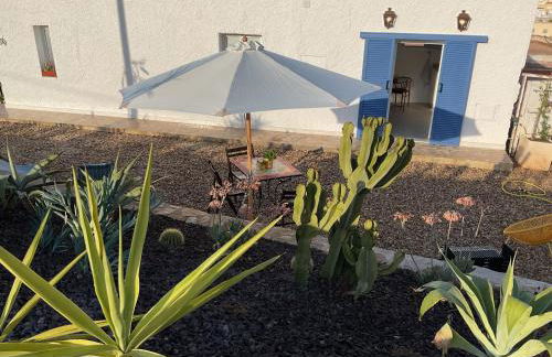 Casa Tartaruga - Foto 2