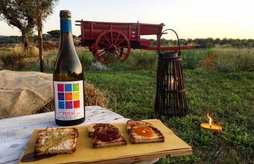 Agriturismo Quattro Pini - Foto 2