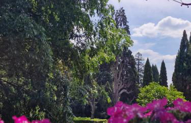 Vicolo d'Este - Photo 1